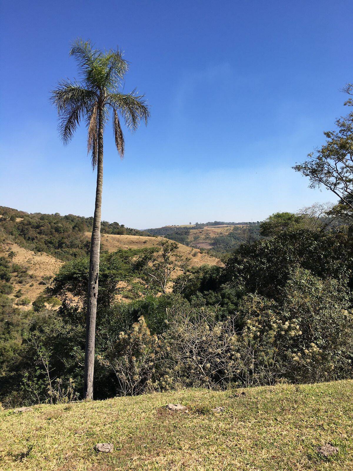 #501 - Chácara para Venda em Pardinho - SP