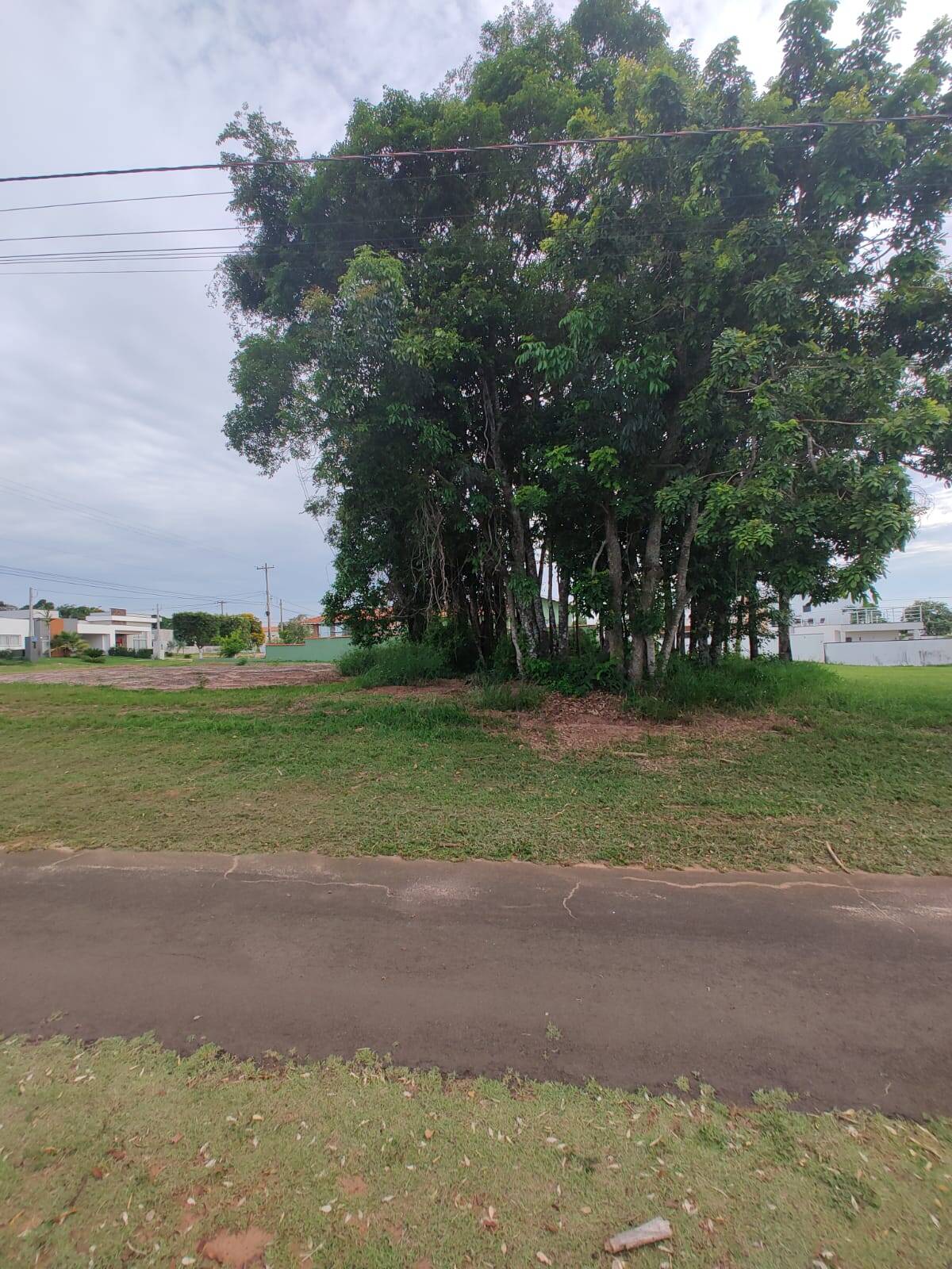 #548 - Área para Venda em Pardinho - SP