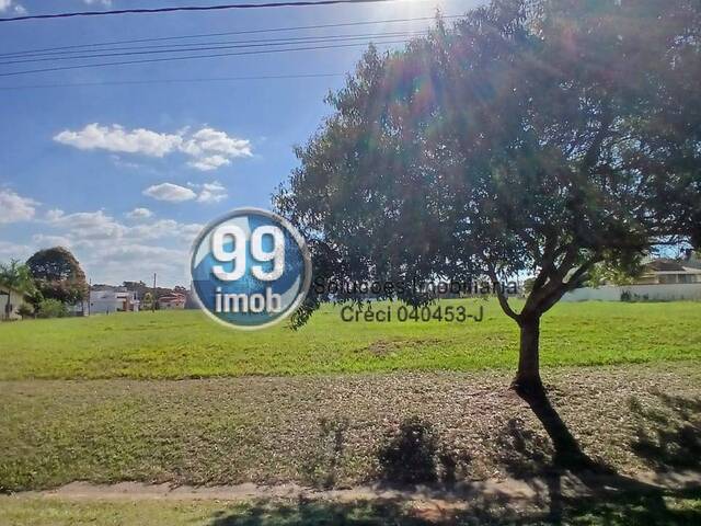 #437 - Área para Venda em Pardinho - SP - 2