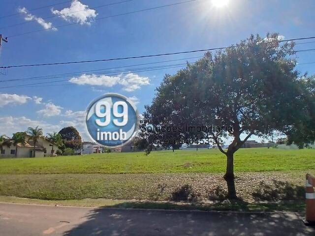 #437 - Área para Venda em Pardinho - SP - 1