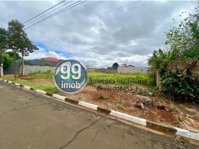 #551 - Área para Venda em Quadra - SP - 3