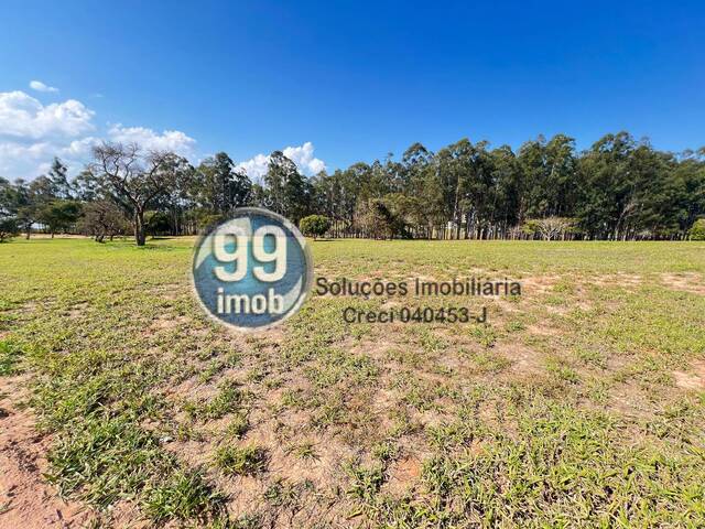 #576 - Área para Venda em Paranapanema - SP - 3