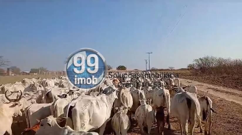 Terreno à venda, 1934000m² - Foto 3