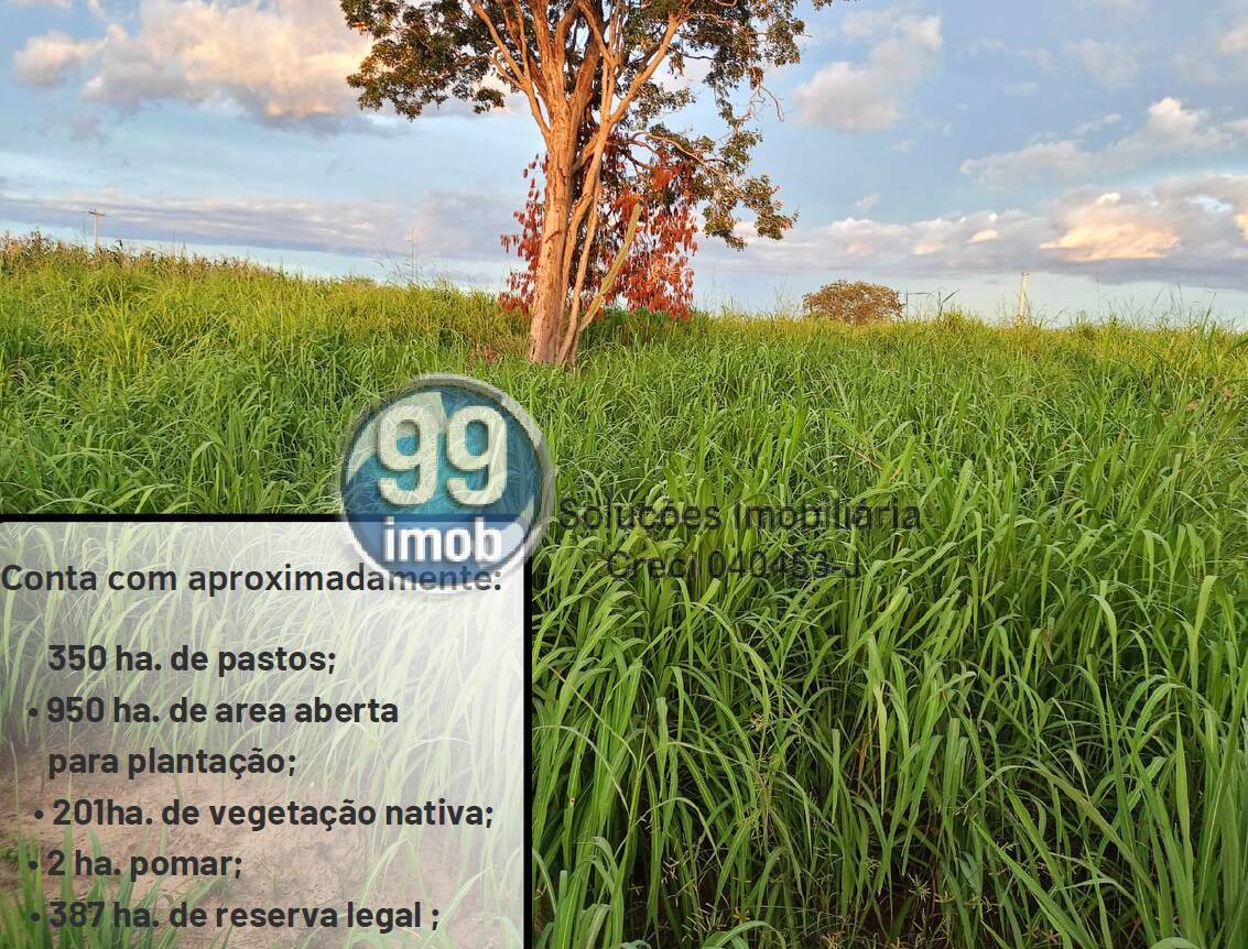 Terreno à venda, 1934000m² - Foto 23